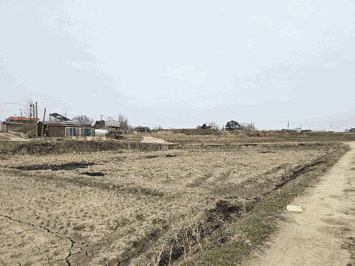 충청남도 당진시 신평면 도성리 206-2 답 경매 사진 10