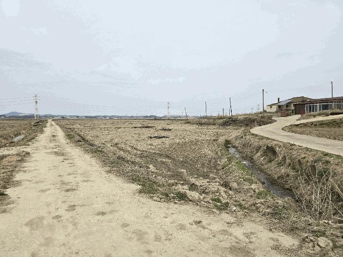 충청남도 당진시 신평면 도성리 206-2 답 경매 사진 12