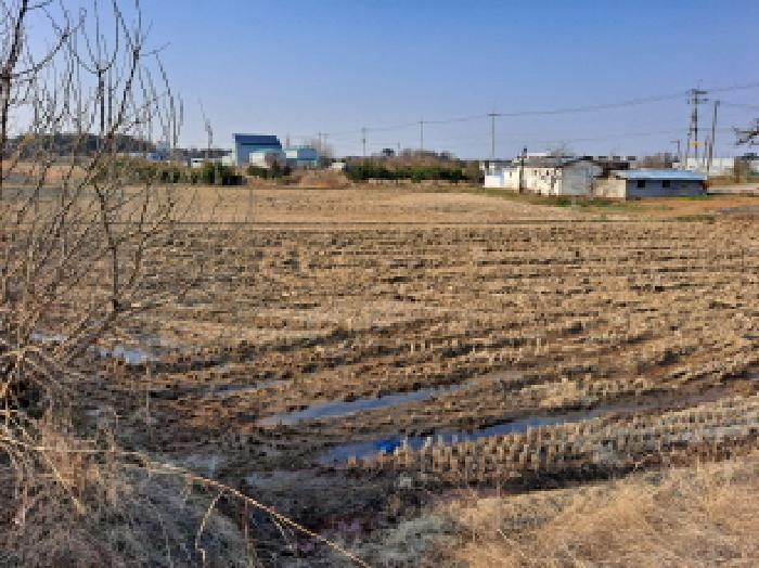 충청남도 당진시 신평면 도성리 206-2 답 경매 사진 14