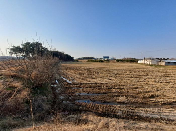 충청남도 당진시 신평면 도성리 206-2 답 경매 사진 17