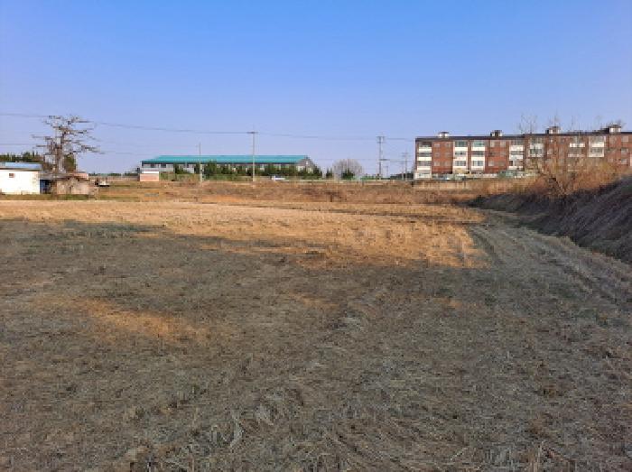 충청남도 당진시 신평면 도성리 206-2 답 경매 사진 19