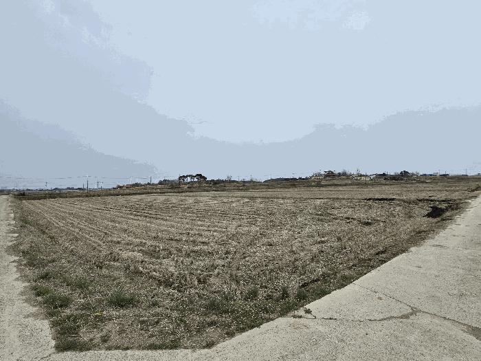 충청남도 당진시 신평면 도성리 206-2 답 경매 사진 2