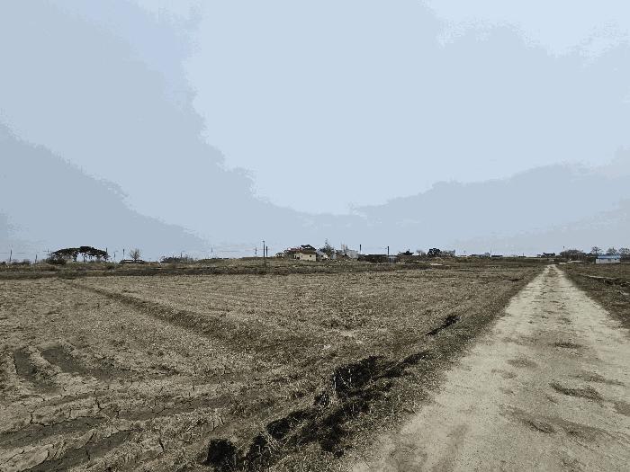 충청남도 당진시 신평면 도성리 206-2 답 경매 사진 4