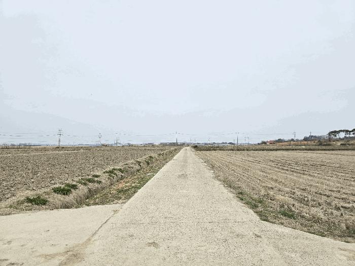 충청남도 당진시 신평면 도성리 206-2 답 경매 사진 5