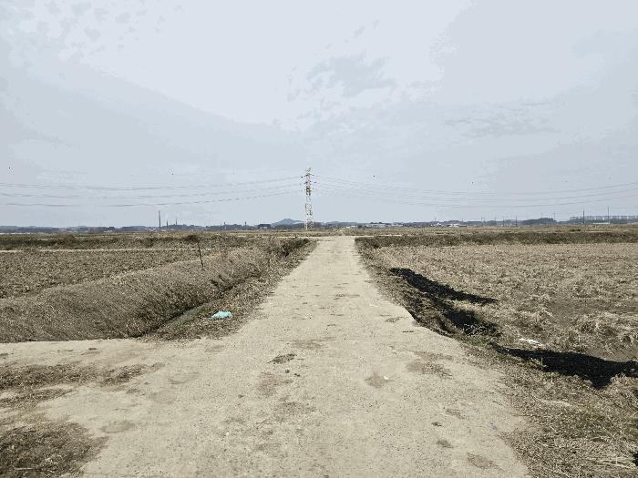 충청남도 당진시 신평면 도성리 206-2 답 경매 사진 8