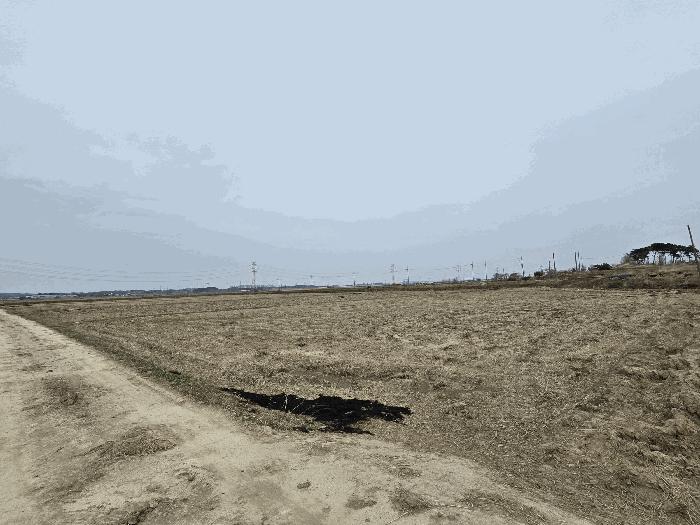 충청남도 당진시 신평면 매산리 711 답 경매 사진 9