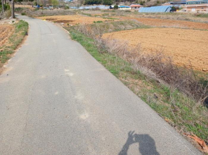 충청남도 당진시 석문면 삼봉리 116-5 답 경매 사진 2