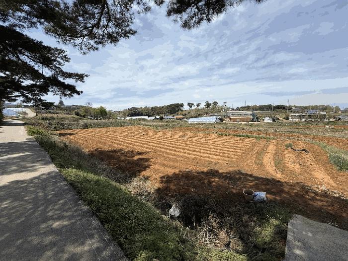 충청남도 당진시 석문면 삼봉리 116-5 답 경매 사진 6