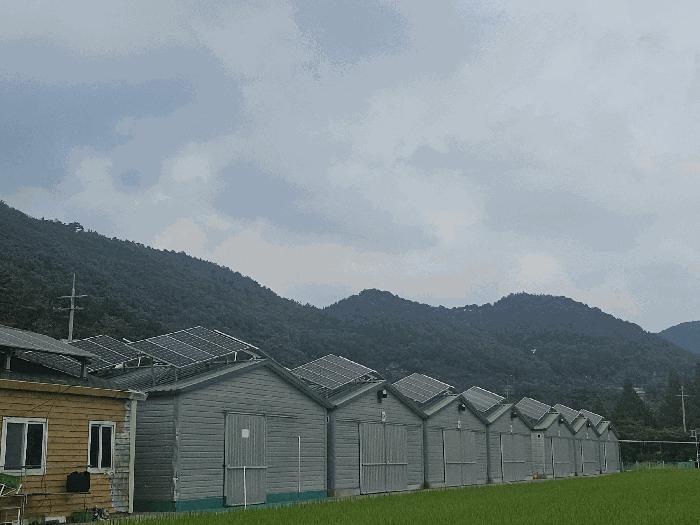 경상남도 김해시 생림면 안양리 1059 축사(농가시설) 경매 사진 8