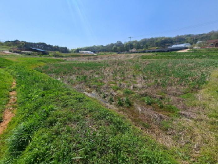 충청남도 당진시 송악읍 금곡리 188 답 경매 사진 13