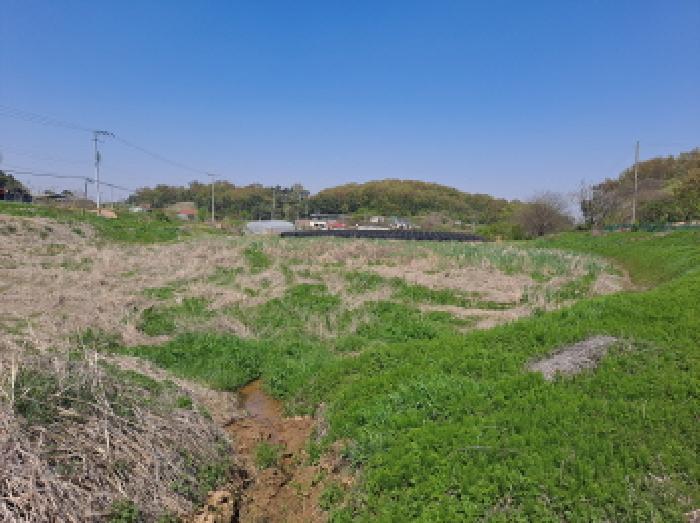 충청남도 당진시 송악읍 금곡리 188 답 경매 사진 14