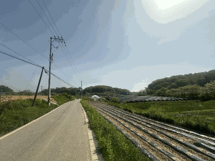 충청남도 당진시 송악읍 금곡리 188 답 경매 사진 2