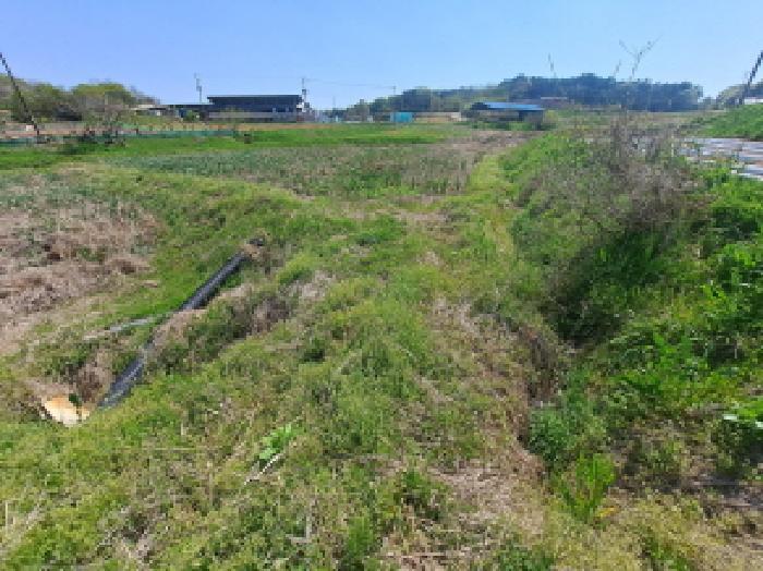 충청남도 당진시 송악읍 금곡리 188 답 경매 사진 7