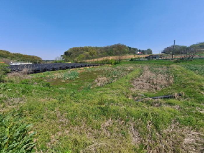 충청남도 당진시 송악읍 금곡리 188 답 경매 사진 9