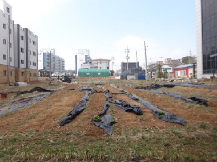 충청남도 태안군 태안읍 삭선리 763-14 임야 경매 사진 14
