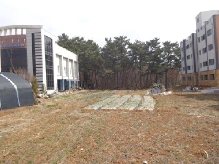 충청남도 태안군 태안읍 삭선리 763-14 임야 경매 사진 15