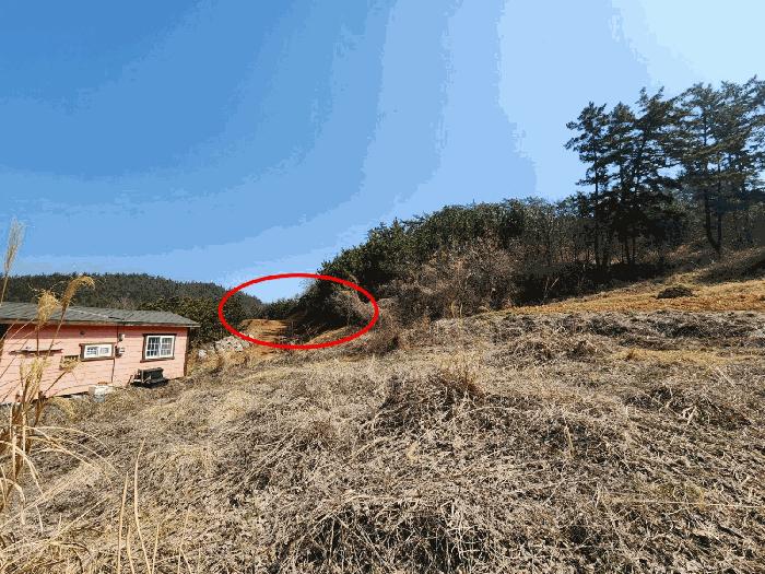 충청남도 태안군 원북면 황촌리 186-10 임야 경매 사진 10
