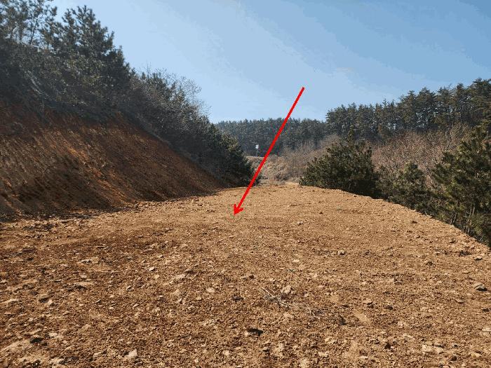 충청남도 태안군 원북면 황촌리 186-10 임야 경매 사진 11