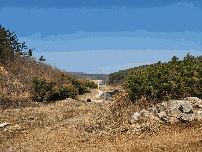 충청남도 태안군 원북면 황촌리 186-10 임야 경매 사진 16