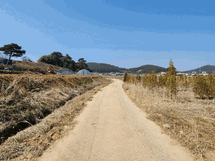 충청남도 태안군 원북면 황촌리 186-10 임야 경매 사진 17
