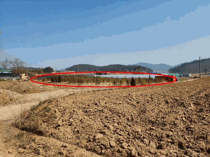 충청남도 태안군 원북면 황촌리 186-10 임야 경매 사진 2