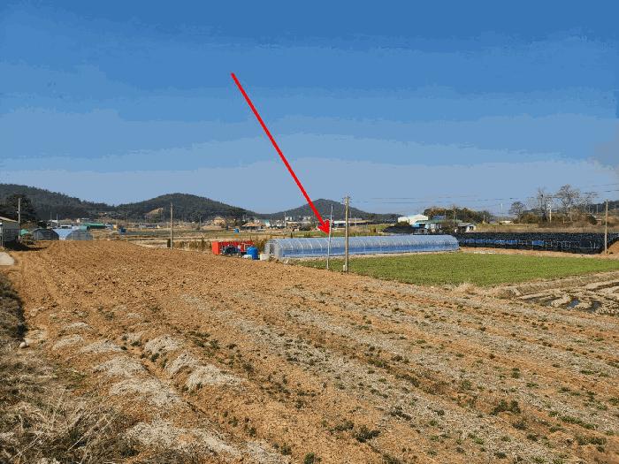 충청남도 태안군 원북면 황촌리 186-10 임야 경매 사진 4
