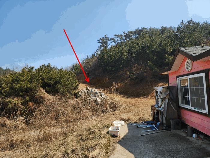 충청남도 태안군 원북면 황촌리 186-10 임야 경매 사진 5