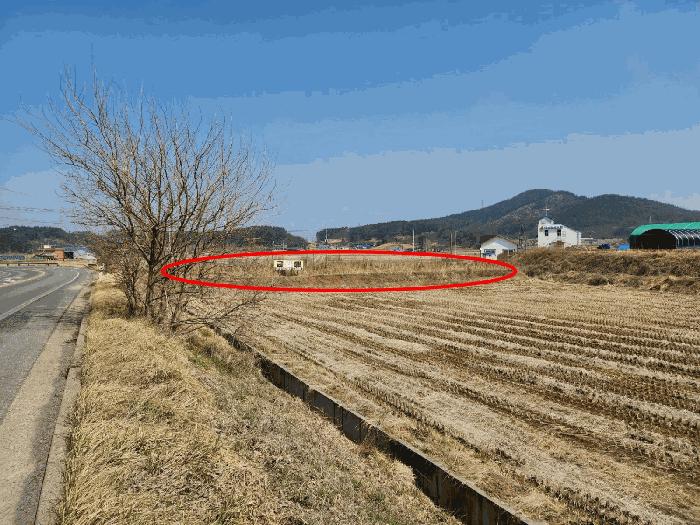 충청남도 태안군 원북면 황촌리 186-10 임야 경매 사진 6