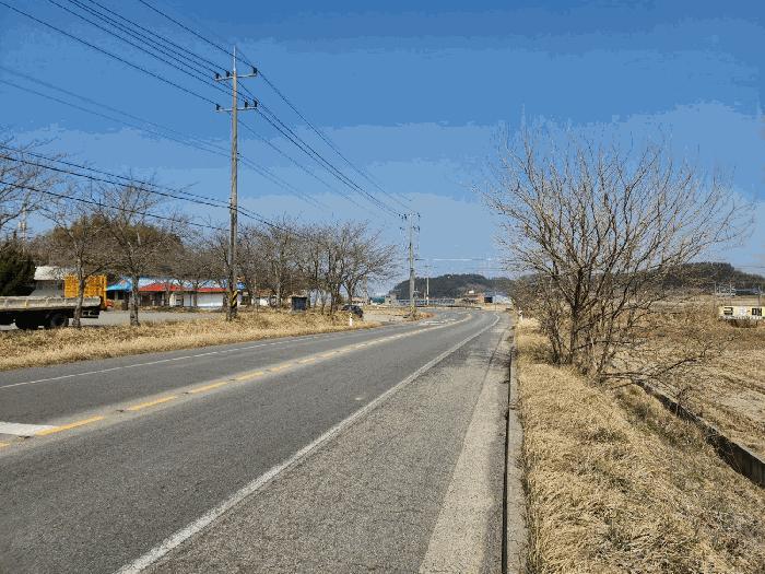 충청남도 태안군 원북면 황촌리 186-10 임야 경매 사진 7