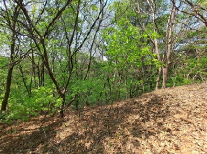 충청남도 당진시 채운동 782-7 임야 경매 사진 13
