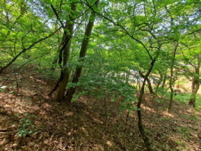 충청남도 당진시 채운동 782-7 임야 경매 사진 7