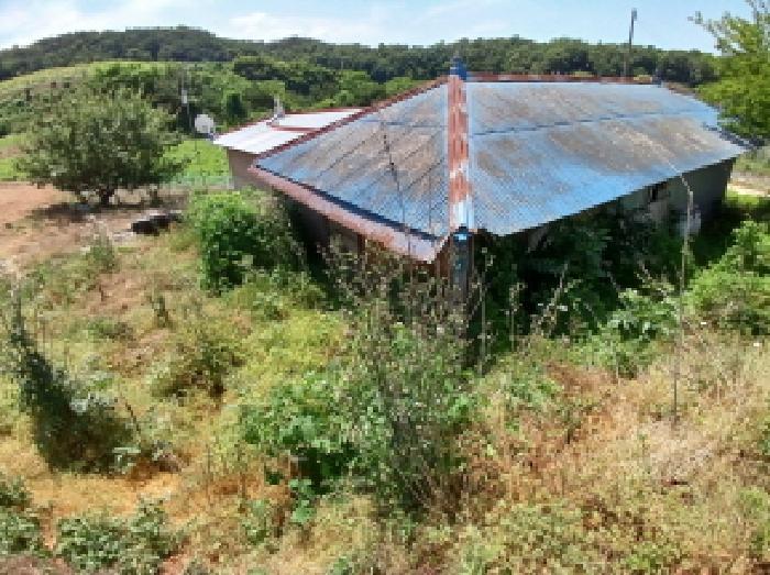 충청남도 당진시 대호지면 마중리 395-1 대지 경매 사진 12