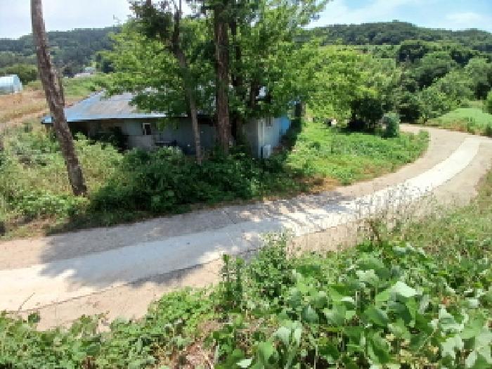 충청남도 당진시 대호지면 마중리 395-1 대지 경매 사진 13