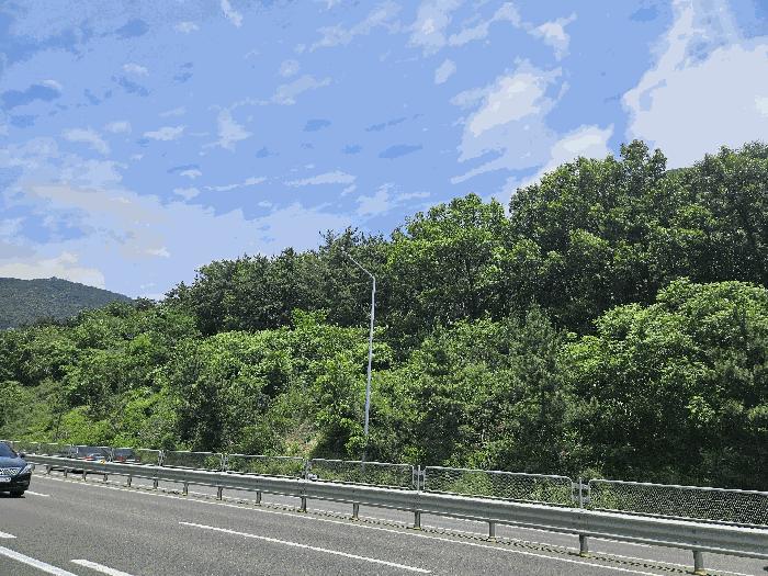 경상남도 창원시 성산구 토월동 산37 임야 경매 사진 1