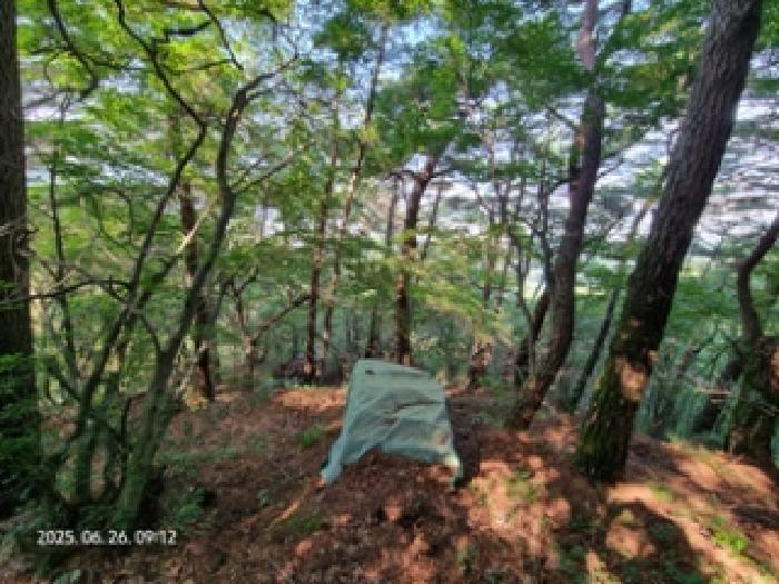 경상남도 창원시 성산구 토월동 산37 임야 경매 사진 10