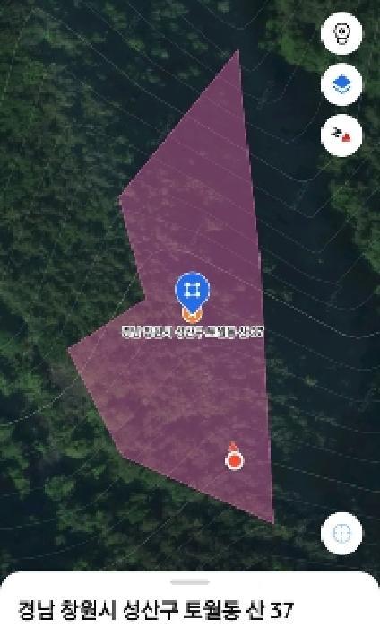 경상남도 창원시 성산구 토월동 산37 임야 경매 사진 11