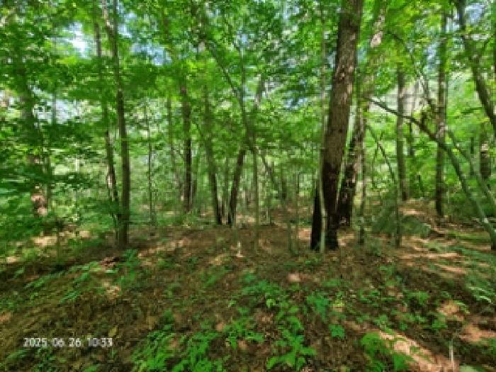 경상남도 창원시 성산구 토월동 산37 임야 경매 사진 2
