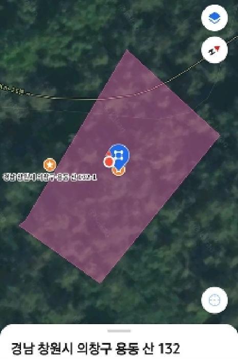 경상남도 창원시 성산구 토월동 산37 임야 경매 사진 3