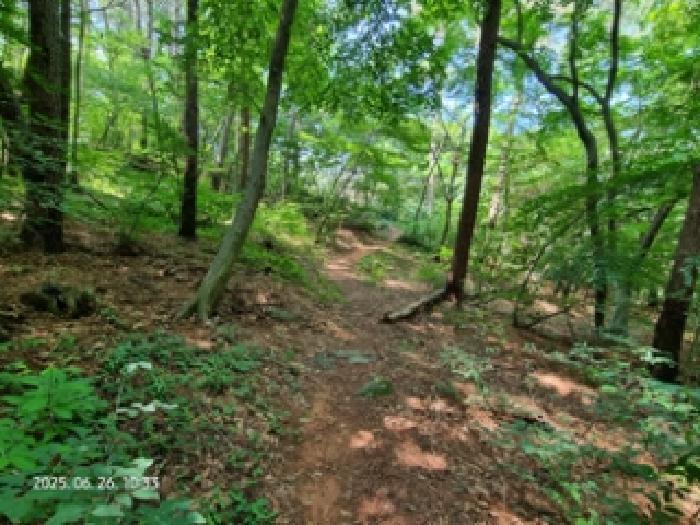 경상남도 창원시 성산구 토월동 산37 임야 경매 사진 5