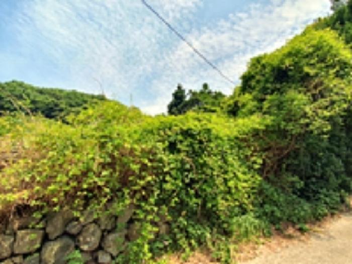경상남도 창원시 진해구 행암동 213-4 대지 경매 사진 8