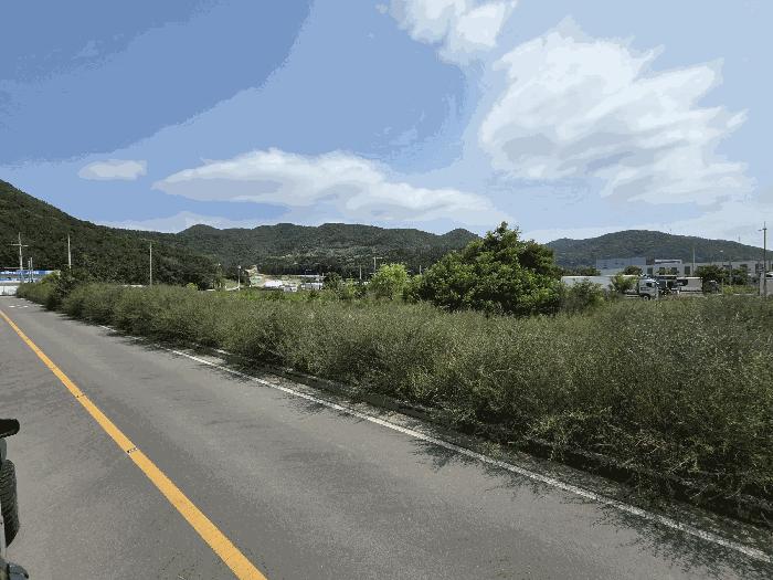 경상남도 창원시 진해구 두동 1504 대지 경매 사진 2