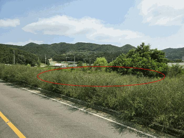경상남도 창원시 진해구 두동 1504 대지 경매 사진 4
