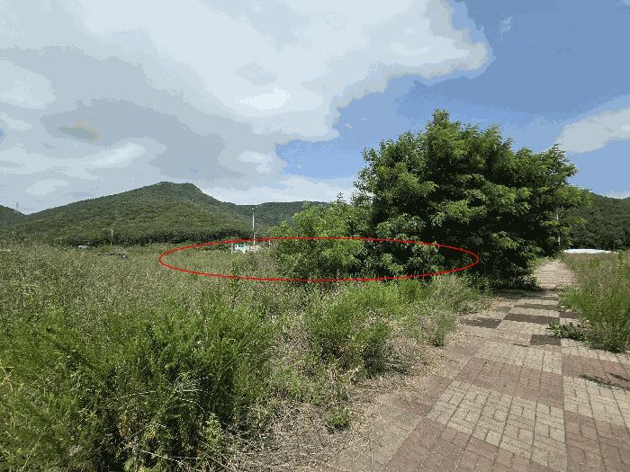 경상남도 창원시 진해구 두동 1504 대지 경매 사진 7