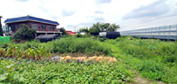 경상남도 김해시 대동면 초정리 368-1 답 경매 사진 6