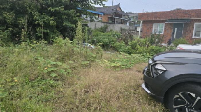 경상북도 칠곡군 지천면 신리 191 대지 경매 사진 3