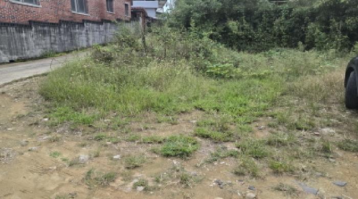경상북도 칠곡군 지천면 신리 191 대지 경매 사진 5