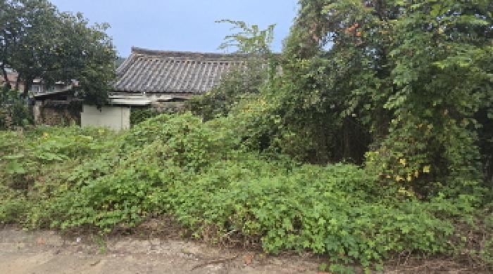 경상북도 칠곡군 지천면 신리 196 대지 경매 사진 4