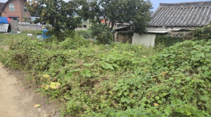 경상북도 칠곡군 지천면 신리 196 대지 경매 사진 6