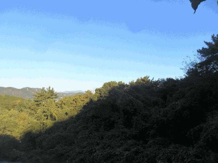 경상남도 창원시 의창구 동읍 봉산리 산136-1 임야 경매 사진 1