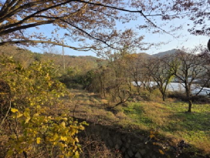 경상북도 청도군 금천면 소천리 466 전 경매 사진 6